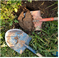 두 삽을 이용하여 작물 뿌리가 주로 분포하는 깊이(약 15cm)와 일정한두께(약 5~7cm)의 토양시료를 채취 _3 img