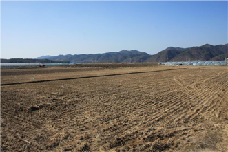 그림입니다.
원본 그림의 이름: IMG_2240.JPG
원본 그림의 크기: 가로 1936pixel, 세로 1288pixel
사진 찍은 날짜: 2013년 03월 27일 오후 3:50