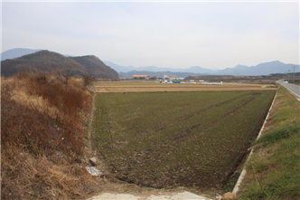 그림입니다.
원본 그림의 이름: IMG_9133.JPG
원본 그림의 크기: 가로 1936pixel, 세로 1288pixel
사진 찍은 날짜: 2012년 11월 21일 오후 12:08