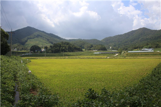 그림입니다.
원본 그림의 이름: Goryeong-A.JPG
원본 그림의 크기: 가로 1936pixel, 세로 1288pixel
사진 찍은 날짜: 2012년 09월 19일 오후 11:17