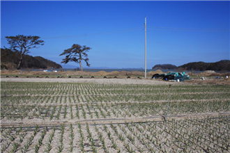 그림입니다.
원본 그림의 이름: Daebon-A.JPG
원본 그림의 크기: 가로 1936pixel, 세로 1288pixel
사진 찍은 날짜: 2013년 02월 20일 오후 10:29