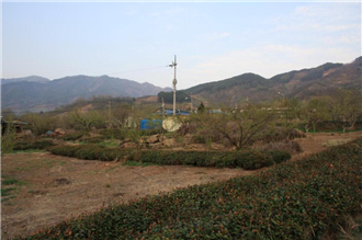 그림입니다.
원본 그림의 이름: IMG_3869.jpg
원본 그림의 크기: 가로 1936pixel, 세로 1288pixel
사진 찍은 날짜: 2012년 04월 16일 오후 6:10