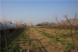 그림입니다.
원본 그림의 이름: IMG_3116.JPG
원본 그림의 크기: 가로 1936pixel, 세로 1288pixel
사진 찍은 날짜: 2013년 04월 24일 오후 5:07