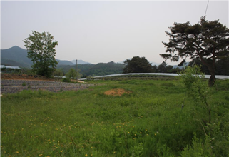 그림입니다.
원본 그림의 이름: IMG_3536.JPG
원본 그림의 크기: 가로 1936pixel, 세로 1288pixel
사진 찍은 날짜: 2013년 05월 22일 오후 2:46
