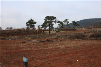 그림입니다.
원본 그림의 이름: IMG_1640.JPG
원본 그림의 크기: 가로 1936pixel, 세로 1288pixel
사진 찍은 날짜: 2013년 03월 13일 오후 4:19
