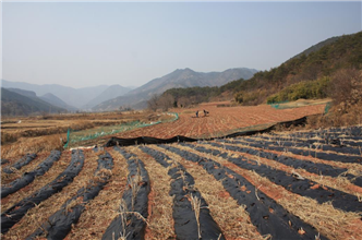 그림입니다.
원본 그림의 이름: IMG_1339.JPG
원본 그림의 크기: 가로 1936pixel, 세로 1288pixel
사진 찍은 날짜: 2013년 03월 06일 오후 12:29