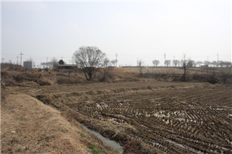 그림입니다.
원본 그림의 이름: IMG_1816.JPG
원본 그림의 크기: 가로 1936pixel, 세로 1288pixel
사진 찍은 날짜: 2013년 03월 19일 오후 10:54