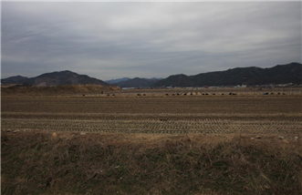 그림입니다.
원본 그림의 이름: IMG_1556.JPG
원본 그림의 크기: 가로 1936pixel, 세로 1288pixel
사진 찍은 날짜: 2013년 03월 12일 오후 4:34