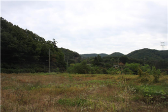 그림입니다.
원본 그림의 이름: IMG_4292.JPG
원본 그림의 크기: 가로 1936pixel, 세로 1288pixel
사진 찍은 날짜: 2013년 10월 07일 오후 12:17