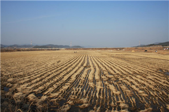 그림입니다.
원본 그림의 이름: IMG_0700.JPG
원본 그림의 크기: 가로 1936pixel, 세로 1288pixel
사진 찍은 날짜: 2013년 01월 30일 오후 3:11